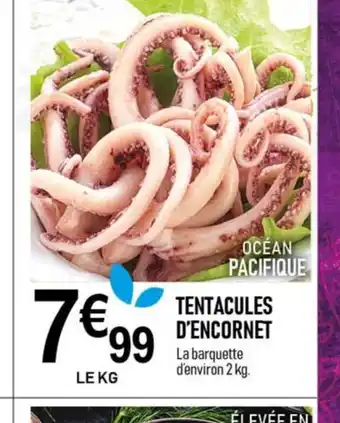marché frais Géant TENTACULES D'ENCORNET offre