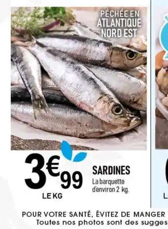 SARDINES
