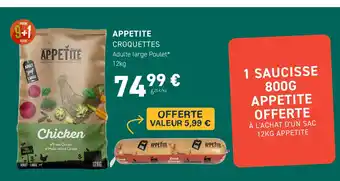 APPETITE CROQUETTES