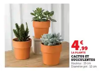 CACTUS ET SUCCULENTES