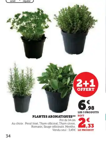 Hyper U PLANTES AROMATIQUES SOIT offre
