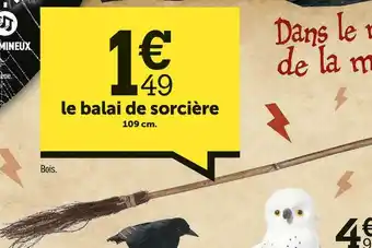 Centrakor Le balai de sorcière offre