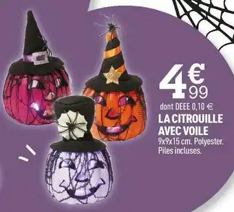 La citrouille avec voile