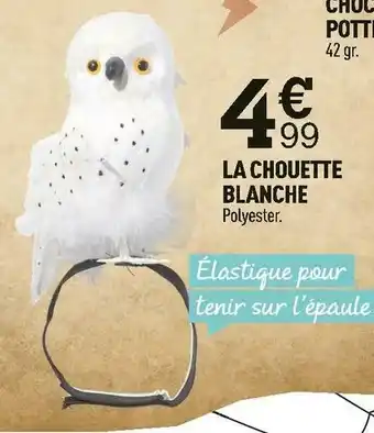 Centrakor La chouette blanche offre