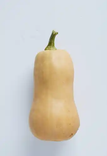 Match Butternut offre