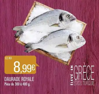 Match DAURADE ROYALE offre