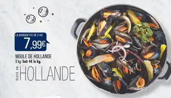 Match MOULE DE HOLLANDE offre