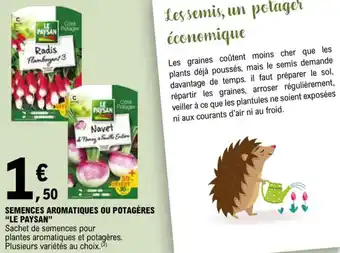 E.Leclerc SEMENCES AROMATIQUES OU POTAGÈRES "LE PAYSAN" offre