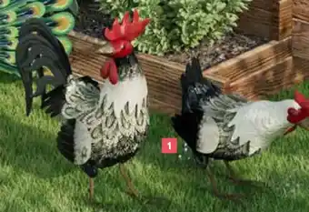 COQ OU POULE