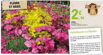 E.Leclerc VIVACE En pot de 1 L Plusieurs variétés au choix.(¹) offre
