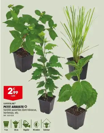 ALDI GARDENLINE PETIT ARBUSTE offre