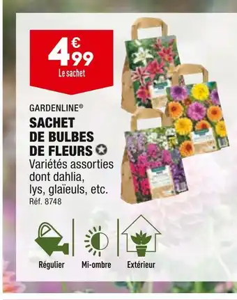 ALDI GARDENLINE SACHET DE BULBES DE FLEURS offre
