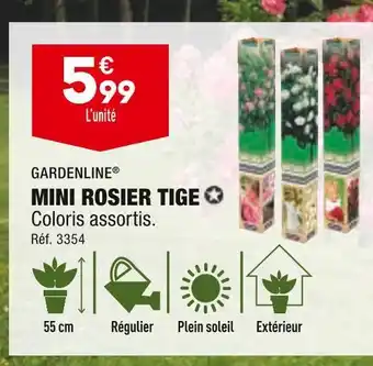 ALDI GARDENLINE MINI ROSIER TIGE offre