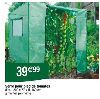 Cora x Carrefour Serre pour pied de tomates offre