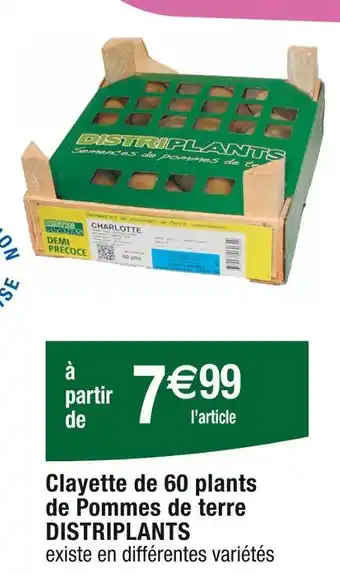 Cora x Carrefour DISTRIPLANTS Clayette de 60 plants de Pommes de terre offre