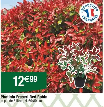 Cora x Carrefour Photinia Fraseri Red Robin offre