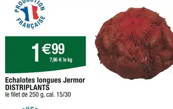 DISTRIPLANTS Echalotes longues Jermor
