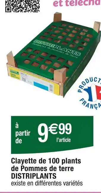 Cora x Carrefour DISTRIPLANTS Clayette de 100 plants de Pommes de terre offre
