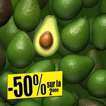 Norma Avocats offre