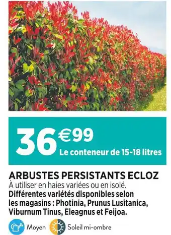 Delbard ECLOZ ARBUSTES PERSISTANTS offre