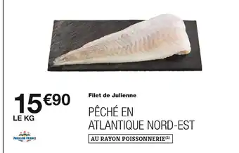 Monoprix PAVILLON FRANCE Filet de Julienne offre
