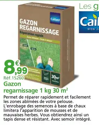 Provence Outillage Gazon regarnissage 1 kg 30 m² offre