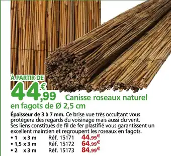 Provence Outillage Canisse roseaux naturel en fagots de Ø 2,5 cm offre