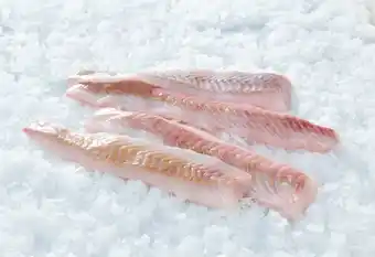 Carrefour Dos de lieu noir MSC offre