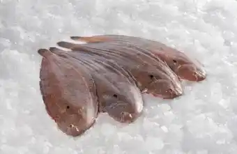 Carrefour Sole offre