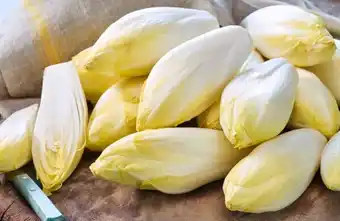 Carrefour Endive offre