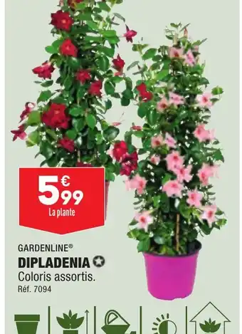 ALDI DIPLADENIA Coloris assortis. Réf. 7094 offre