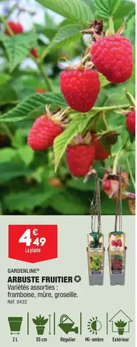 ALDI ARBUSTE FRUITIER Variétés assorties : framboise, mûre, groseille. offre