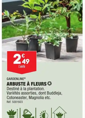 ALDI ARBUSTE À FLEURS offre