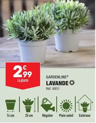 ALDI LAVANDE offre