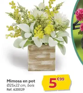 Mimosa en pot Ă25x22 cm, bois RĂ©f. 620029