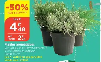 Bi1 Plantes aromatiques offre