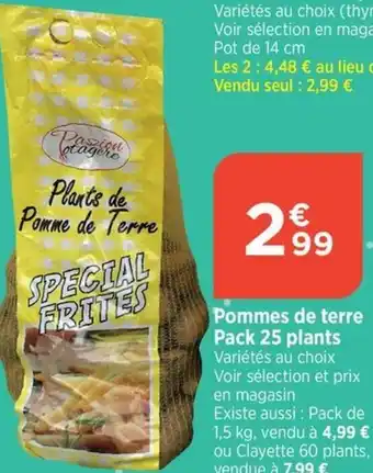Pommes de terre Pack 25 plants
