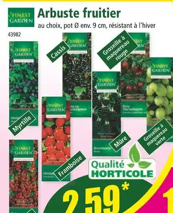 Norma FINEST GARDEN Arbuste fruitier offre