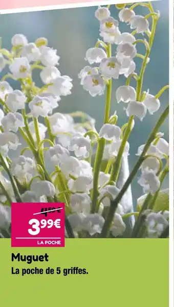 Point Vert Muguet offre