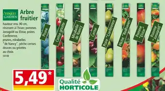 Norma FINEST GARDEN Arbre fruitier offre
