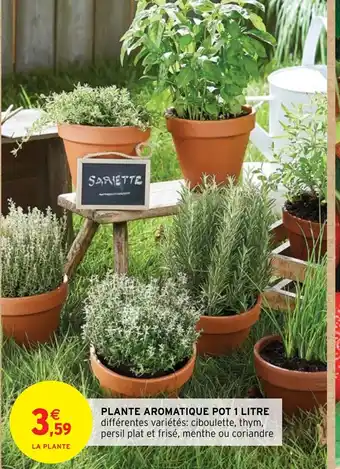 Intermarché Hyper PLANTE AROMATIQUE POT 1 LITRE offre