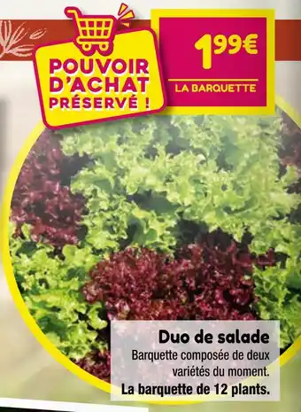 Point Vert Duo de salade offre