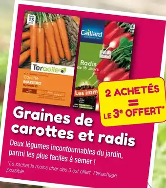 TERAGILE Graines de carottes et radis