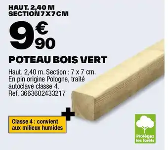 Brico Dépôt POTEAU BOIS VERT offre
