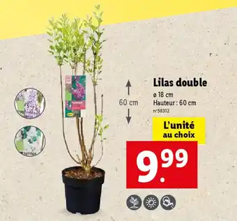 Lidl Lilas double offre