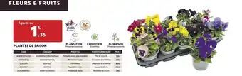Bricomarché PLANTES DE SAISON offre
