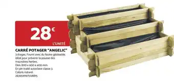 Bricomarché CARRÉ POTAGER "ANGELIC" offre