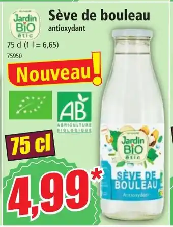 SĂšve de bouleau