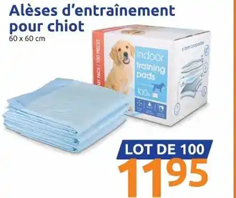 Alèses d'entraînement pour chiot