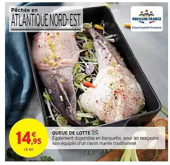 Intermarché Queue De Lotte offre